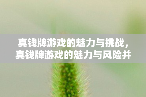 真钱牌游戏的魅力与挑战，真钱牌游戏的魅力与风险并存