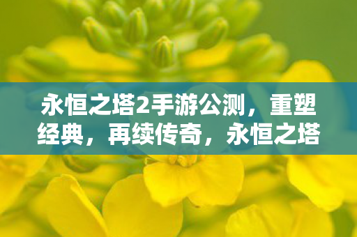 永恒之塔2手游公测图片