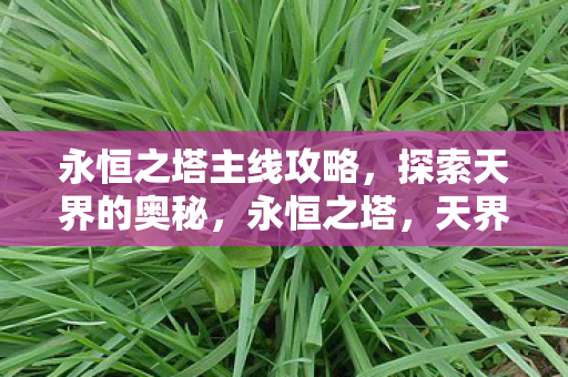 永恒之塔主线攻略图片
