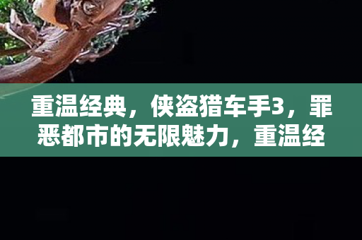 罪恶都市的无限魅力图片