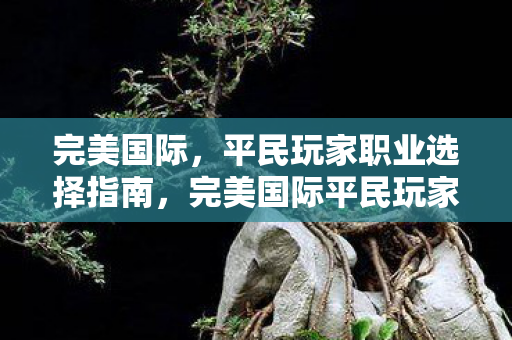 完美国际，平民玩家职业选择指南，完美国际平民玩家职业选择全解析