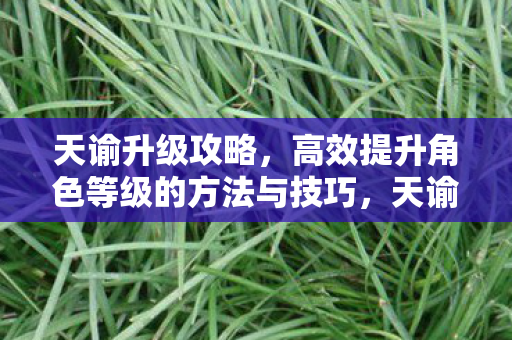 天谕升级攻略,高效提升角色等级的方法与技巧,天谕角色升级攻略,高效提升等级的方法与技巧 天谕升级攻略,高效提升角色等级的方法与技巧,天谕角色升级攻略,高效提升等级的方法与技巧