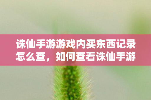 诛仙手游游戏内买东西记录怎么查图片