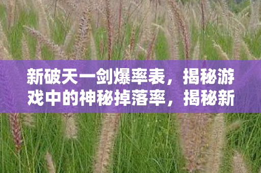 揭秘新破天一剑神秘掉落率图片