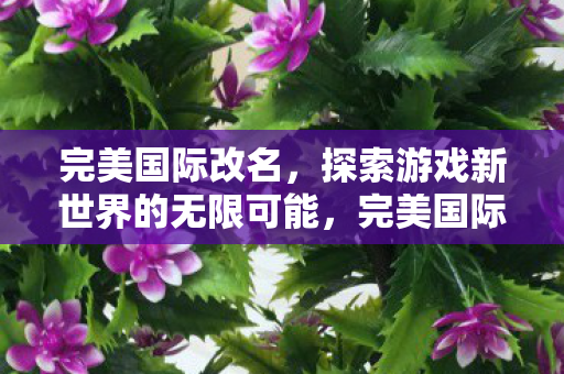完美国际改名,探索游戏新世界的无限可能,完美国际改名,开启游戏新世界之旅 完美国际改名,探索游戏新世界的无限可能,完美国际改名,开启游戏新世界之旅