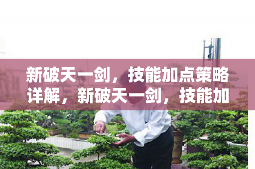 技能加点策略全解析图片