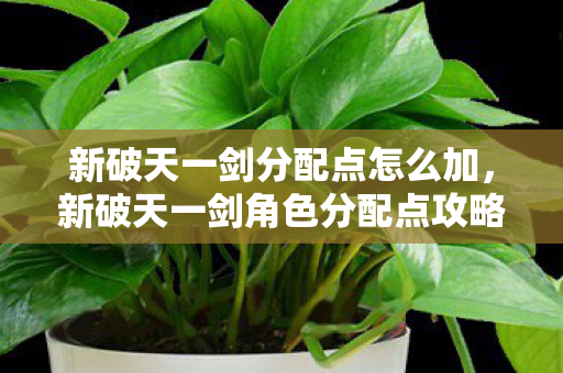 新破天一剑角色分配点攻略图片