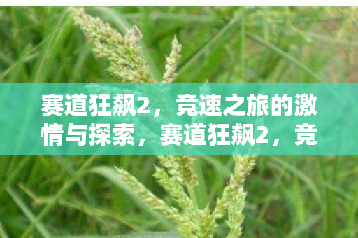 赛道狂飙2,竞速之旅的激情与探索,赛道狂飙2,竞速之旅的激情与探索 赛道狂飙2,竞速之旅的激情与探索,赛道狂飙2,竞速之旅的激情与探索