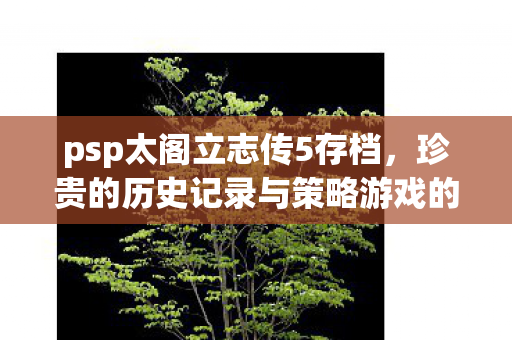 psp太阁立志传5存档,珍贵的历史记录与策略游戏的艺术,太阁立志传5珍贵存档,历史记录与策略游戏的艺术结晶 psp太阁立志传5存档,珍贵的历史记录与策略游戏的艺术,太阁立志传5珍贵存档,历史记录与策略游戏的艺术结晶