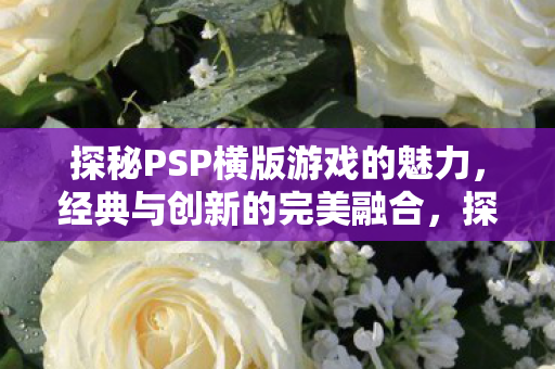 探秘PSP横版游戏的魅力,经典与创新的完美融合,探秘PSP经典与创新完美融合的横版游戏魅力 探秘PSP横版游戏的魅力,经典与创新的完美融合,探秘PSP经典与创新完美融合的横版游戏魅力