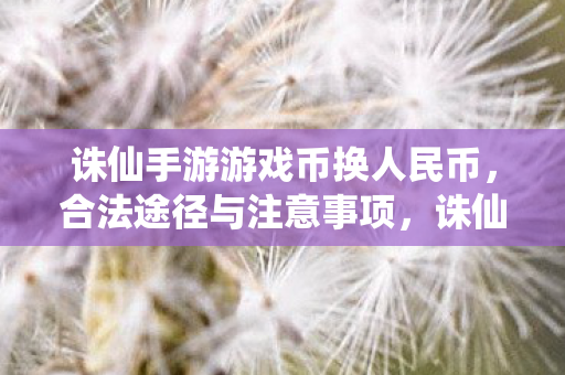 合法途径与注意事项全解析图片
