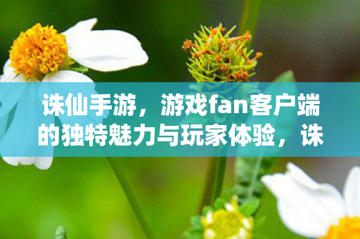 诛仙手游,游戏fan客户端的独特魅力与玩家体验,诛仙手游,游戏fan客户端的独特魅力与玩家体验 诛仙手游,游戏fan客户端的独特魅力与玩家体验,诛仙手游,游戏fan客户端的独特魅力与玩家体验