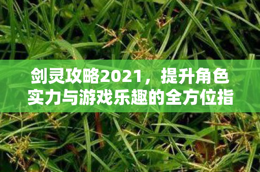 提升角色实力与游戏乐趣的全方位指南图片