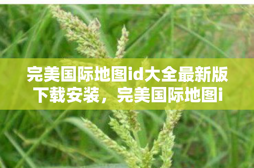 完美国际地图id大全最新版下载安装图片