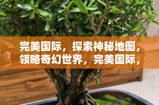 完美国际,探索神秘地图,领略奇幻世界,完美国际,探索神秘地图,领略奇幻世界 完美国际,探索神秘地图,领略奇幻世界,完美国际,探索神秘地图,领略奇幻世界