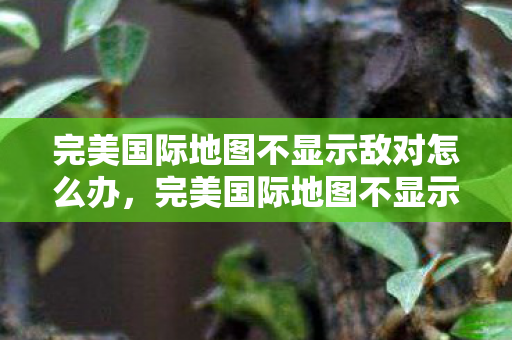完美国际地图不显示敌对怎么办,完美国际地图不显示敌对怎么办?解决方法全解析 完美国际地图不显示敌对怎么办,完美国际地图不显示敌对怎么办?解决方法全解析