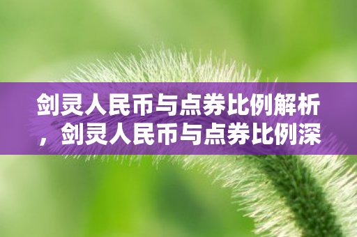 剑灵人民币与点券比例深度解析图片