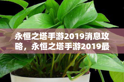 永恒之塔手游2019最新消息攻略图片