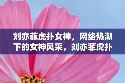 刘亦菲虎扑女神，网络热潮下的女神风采，刘亦菲虎扑女神，网络热潮下的女神风采