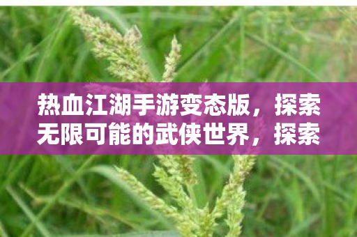 热血江湖手游变态版,探索无限可能的武侠世界,探索无限可能的武侠世界,热血江湖手游变态版 热血江湖手游变态版,探索无限可能的武侠世界,探索无限可能的武侠世界,热血江湖手游变态版