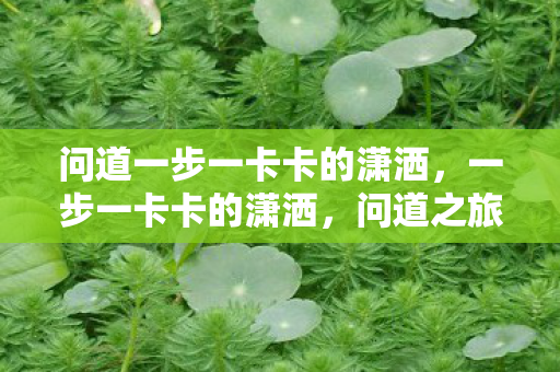 问道一步一卡卡的潇洒,一步一卡卡的潇洒,问道之旅的另类体验 问道一步一卡卡的潇洒,一步一卡卡的潇洒,问道之旅的另类体验