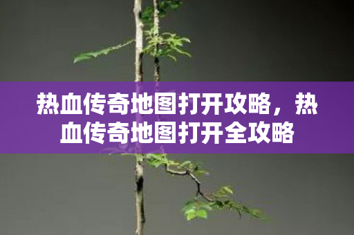 热血传奇地图打开全攻略图片