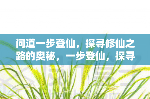 问道一步登仙，探寻修仙之路的奥秘，一步登仙，探寻修仙之路的奥秘