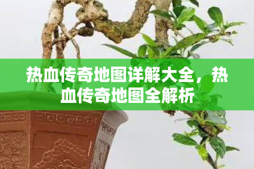 热血传奇地图详解大全,热血传奇地图全解析 热血传奇地图详解大全,热血传奇地图全解析