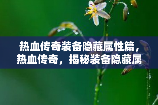 热血传奇装备隐藏属性篇图片