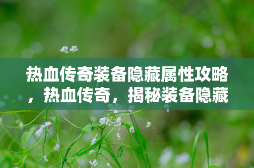 热血传奇装备隐藏属性攻略图片