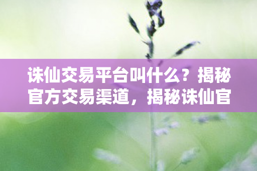 诛仙交易平台叫什么?揭秘官方交易渠道,揭秘诛仙官方交易平台,安全、便捷的虚拟物品交易选择 诛仙交易平台叫什么?揭秘官方交易渠道,揭秘诛仙官方交易平台,安全、便捷的虚拟物品交易选择