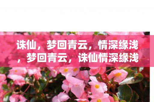 诛仙,梦回青云,情深缘浅,梦回青云,诛仙情深缘浅 诛仙,梦回青云,情深缘浅,梦回青云,诛仙情深缘浅