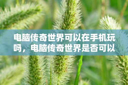 电脑传奇世界可以在手机玩吗,电脑传奇世界是否可以在手机上玩? 电脑传奇世界可以在手机玩吗,电脑传奇世界是否可以在手机上玩?