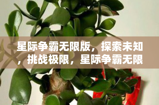 星际争霸无限版，探索未知，挑战极限，星际争霸无限版，探索未知，挑战极限