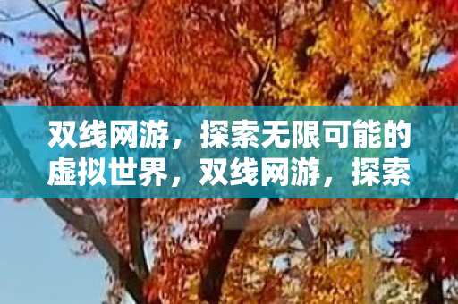 双线网游，探索无限可能的虚拟世界，双线网游，探索无限可能的虚拟世界