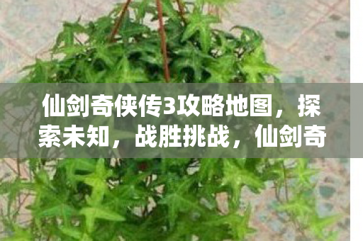 仙剑奇侠传3攻略地图，探索未知，战胜挑战，仙剑奇侠传3，探索未知地图，战胜挑战攻略