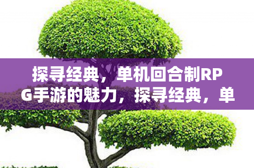 探寻经典,单机回合制RPG手游的魅力,探寻经典,单机回合制RPG手游的魅力 探寻经典,单机回合制RPG手游的魅力,探寻经典,单机回合制RPG手游的魅力