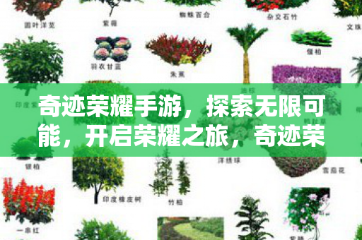 奇迹荣耀手游,探索无限可能,开启荣耀之旅,奇迹荣耀手游,开启荣耀之旅,探索无限可能 奇迹荣耀手游,探索无限可能,开启荣耀之旅,奇迹荣耀手游,开启荣耀之旅,探索无限可能