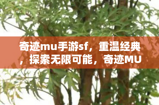 奇迹mu手游sf,重温经典,探索无限可能,奇迹MU手游SF,重温经典,探索无限可能 奇迹mu手游sf,重温经典,探索无限可能,奇迹MU手游SF,重温经典,探索无限可能