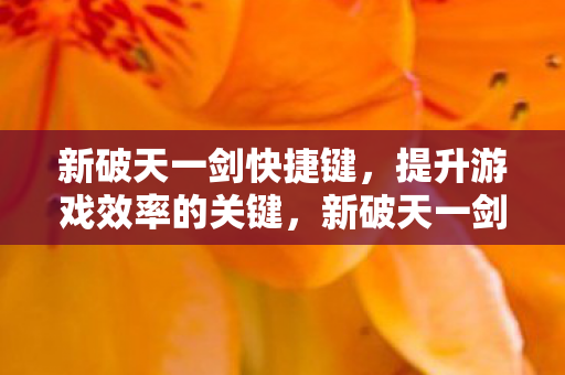 新破天一剑快捷键,提升游戏效率的关键,新破天一剑,掌握快捷键,提升游戏效率的关键 新破天一剑快捷键,提升游戏效率的关键,新破天一剑,掌握快捷键,提升游戏效率的关键