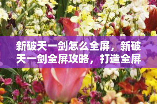新破天一剑怎么全屏图片