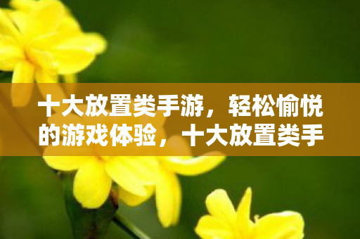 十大放置类手游，轻松愉悦的游戏体验，十大放置类手游，打造轻松愉悦的游戏世界