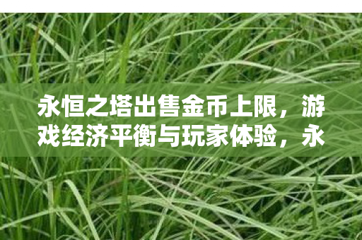 永恒之塔出售金币上限,游戏经济平衡与玩家体验,永恒之塔金币交易限制,游戏经济平衡与玩家体验如何平衡? 永恒之塔出售金币上限,游戏经济平衡与玩家体验,永恒之塔金币交易限制,游戏经济平衡与玩家体验如何平衡?