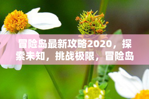 冒险岛最新攻略2020,探索未知,挑战极限,冒险岛2020最新攻略,探索未知,挑战极限 冒险岛最新攻略2020,探索未知,挑战极限,冒险岛2020最新攻略,探索未知,挑战极限