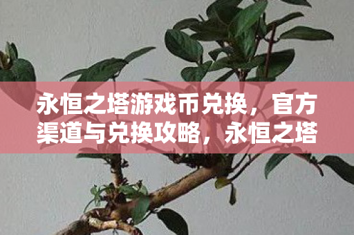 永恒之塔游戏币官方兑换攻略图片