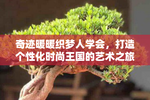 奇迹暖暖织梦人学会，打造个性化时尚王国的艺术之旅，奇迹暖暖织梦人学会，打造个性化时尚王国的艺术之旅