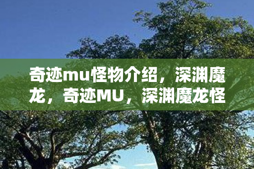 奇迹mu怪物介绍,深渊魔龙,奇迹MU,深渊魔龙怪物介绍 奇迹mu怪物介绍,深渊魔龙,奇迹MU,深渊魔龙怪物介绍