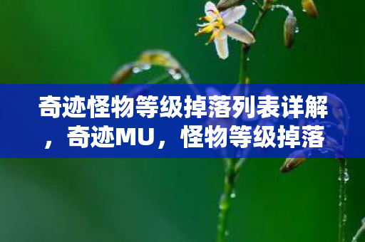 奇迹怪物等级掉落列表详解,奇迹MU,怪物等级掉落物品全解析 奇迹怪物等级掉落列表详解,奇迹MU,怪物等级掉落物品全解析
