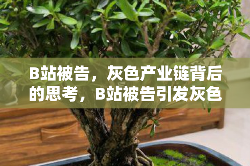 B站被告,灰色产业链背后的思考,B站被告引发灰色产业链思考 B站被告,灰色产业链背后的思考,B站被告引发灰色产业链思考
