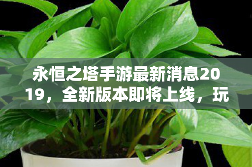 永恒之塔手游最新消息2019图片